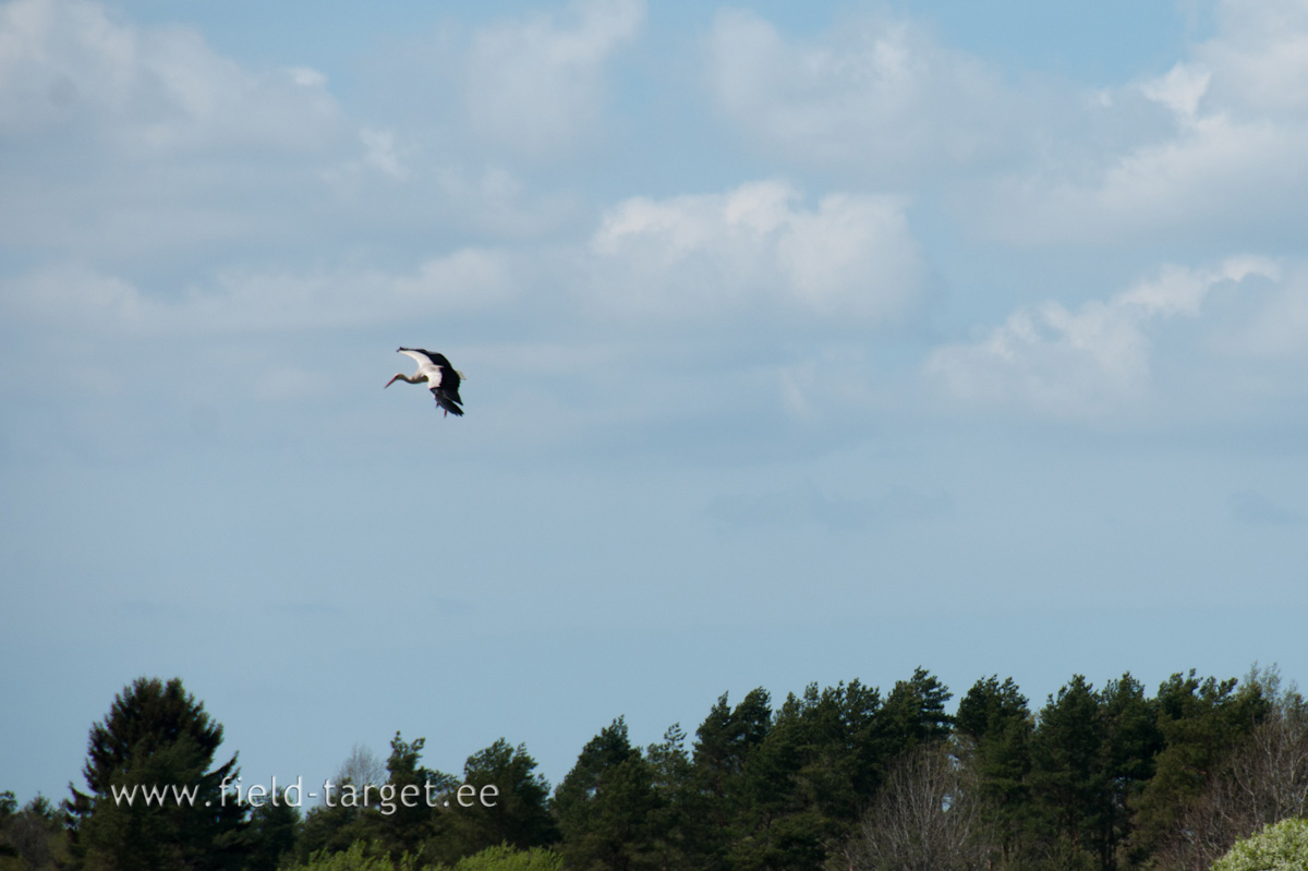 Oleme taas maandunud Vaela põllule
